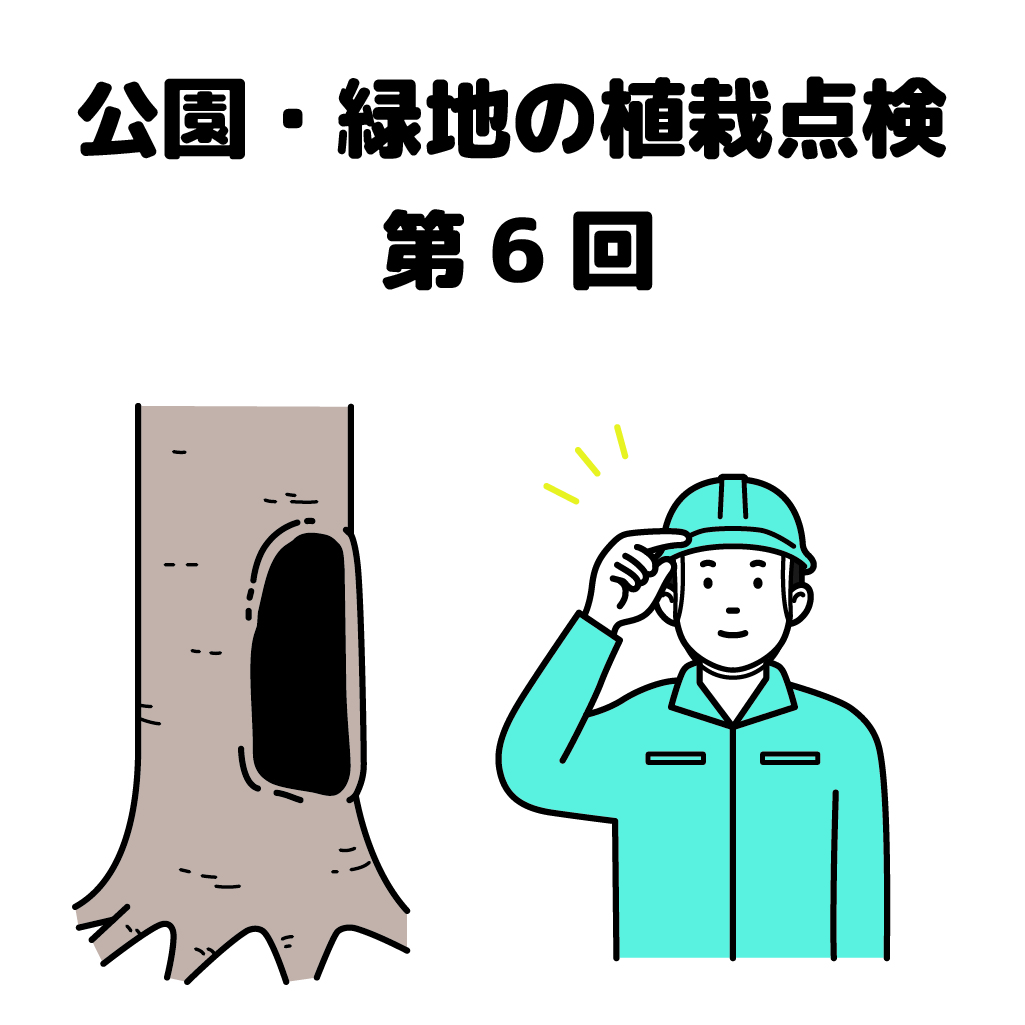 街の樹木NewsLetter Vol.18　4月号　公園・緑地の植栽点検シリーズ第6回－樹⽊の安全点検−倒⽊や落枝の危険を発⾒しよう！ その３−腐朽・空洞